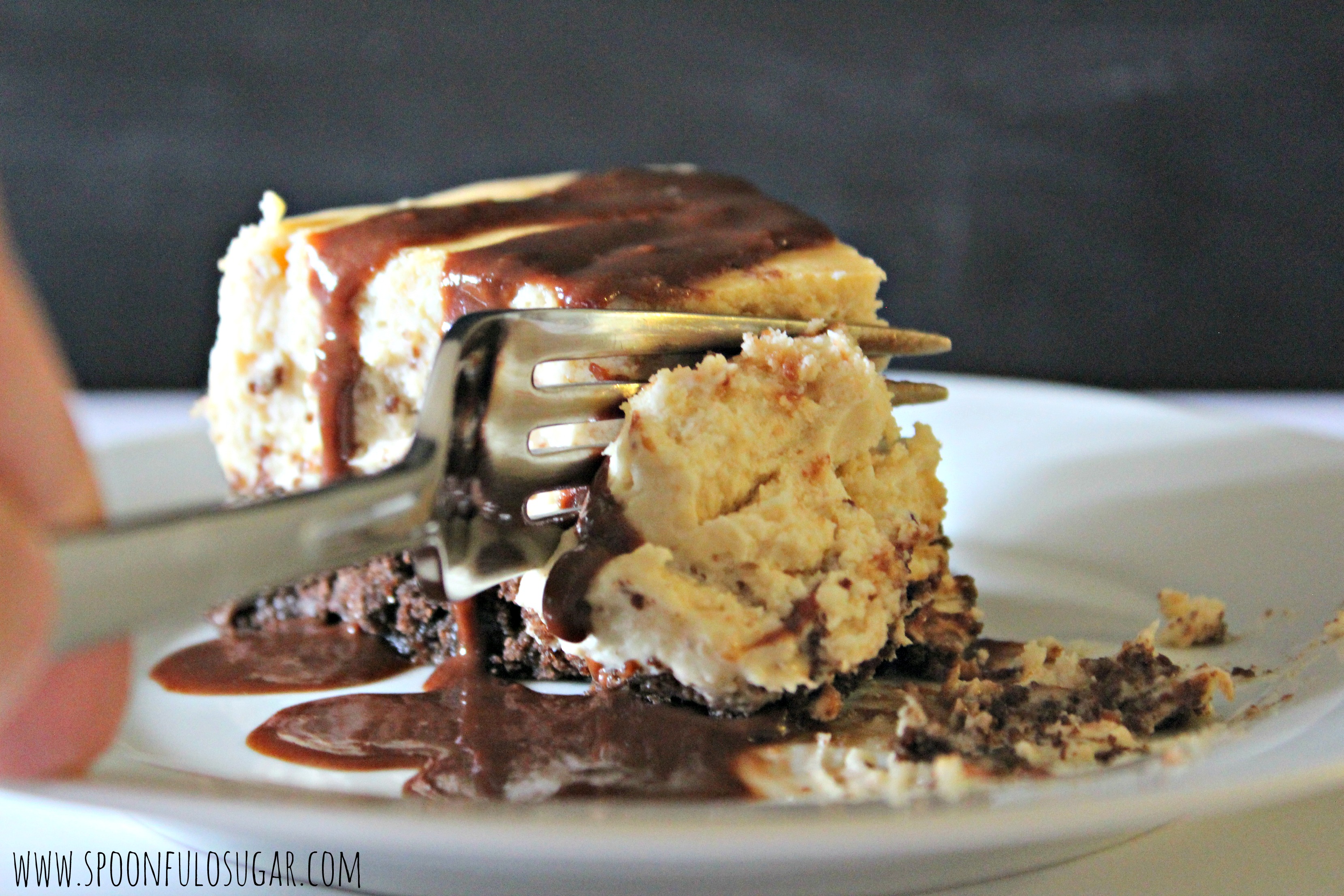 Peanut Butter Cheesecake | Spoonful of Sugar